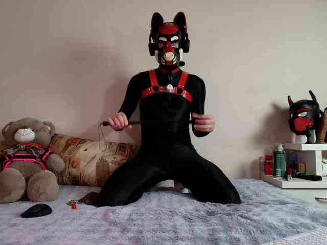 K9GoodBoy