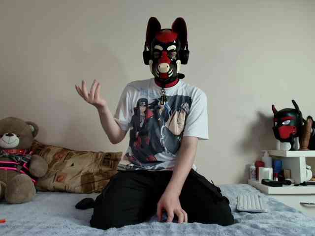 K9GoodBoy