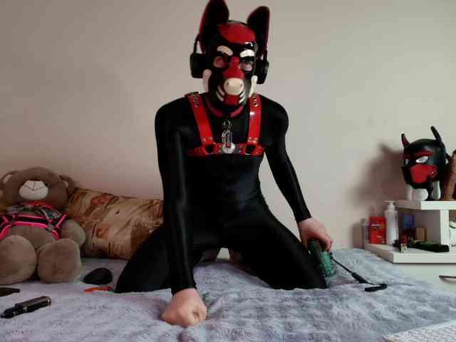 K9GoodBoy
