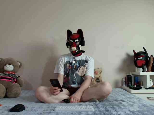 K9GoodBoy