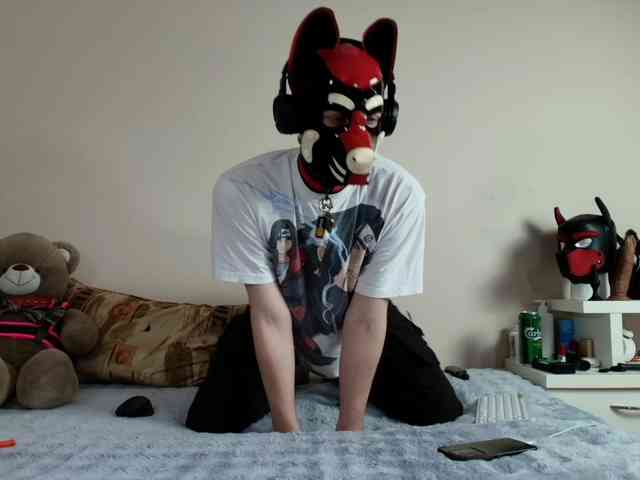 K9GoodBoy