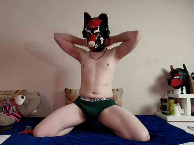 K9GoodBoy