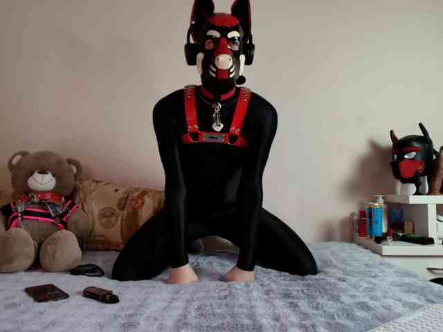 K9GoodBoy