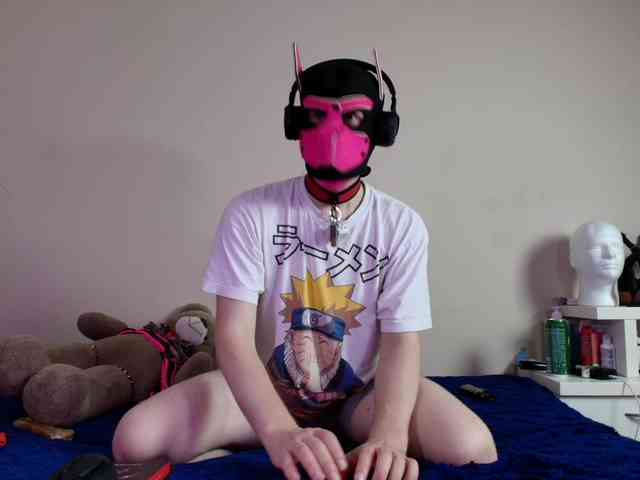 K9GoodBoy K9GoodBoy