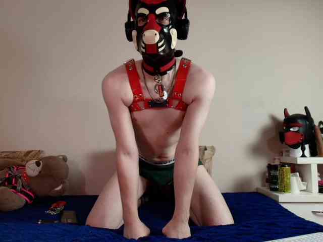 K9GoodBoy