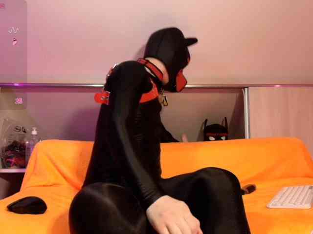 K9GoodBoy K9GoodBoy