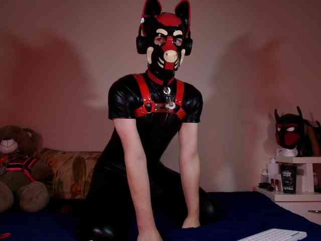 K9GoodBoy