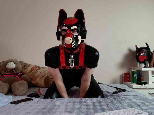 K9GoodBoy