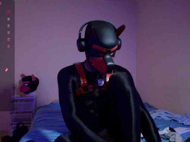 K9GoodBoy