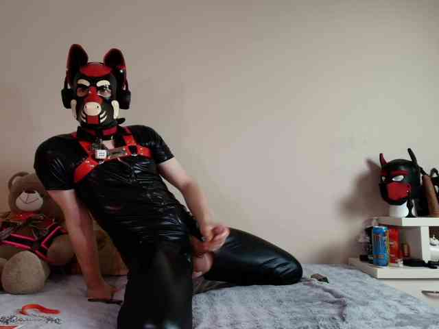 K9GoodBoy