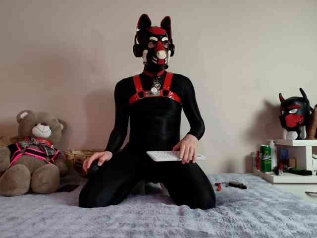 K9GoodBoy