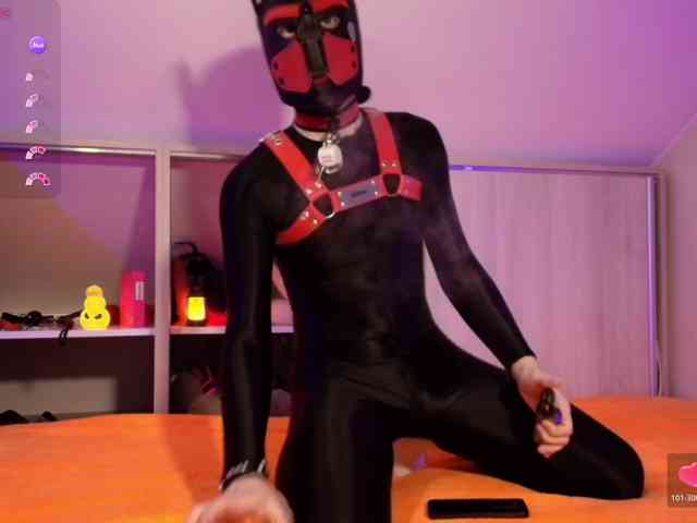 K9GoodBoy