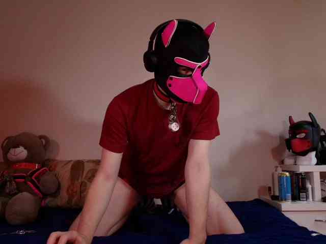 K9GoodBoy