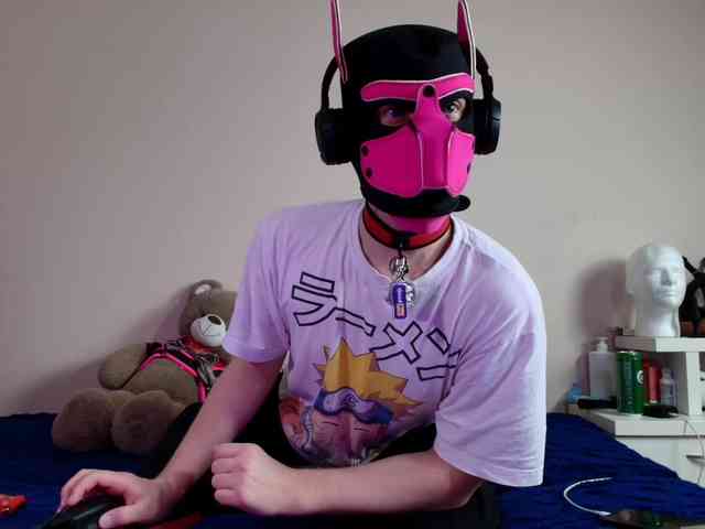 K9GoodBoy K9GoodBoy