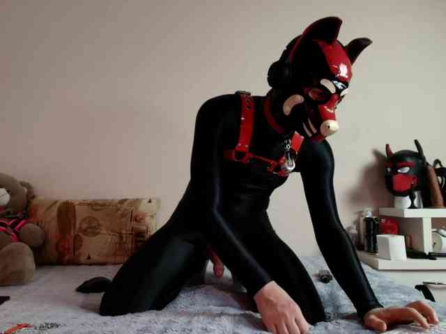 K9GoodBoy