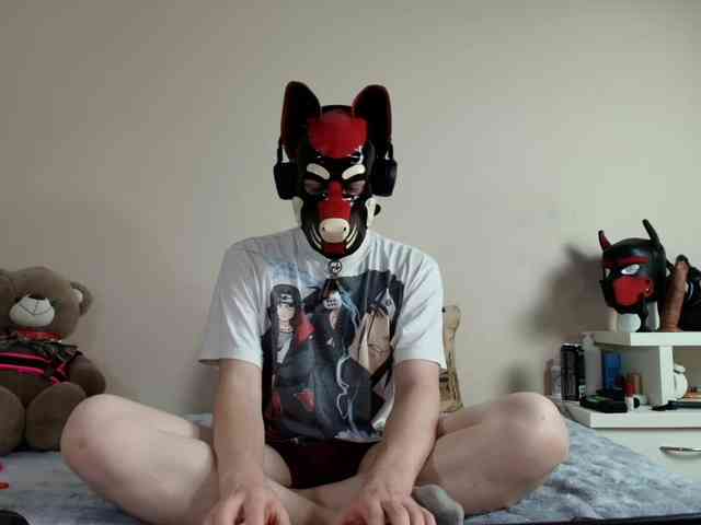K9GoodBoy