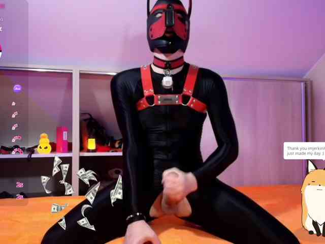 K9GoodBoy