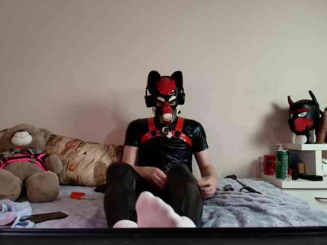 K9GoodBoy