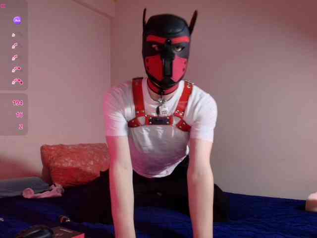K9GoodBoy