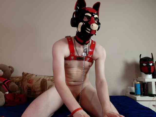 K9GoodBoy