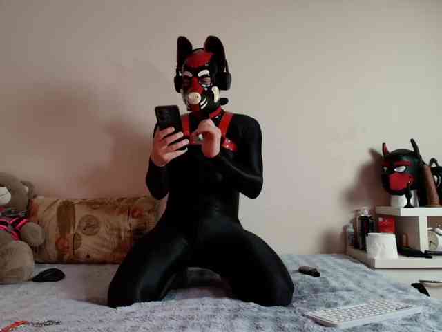 K9GoodBoy