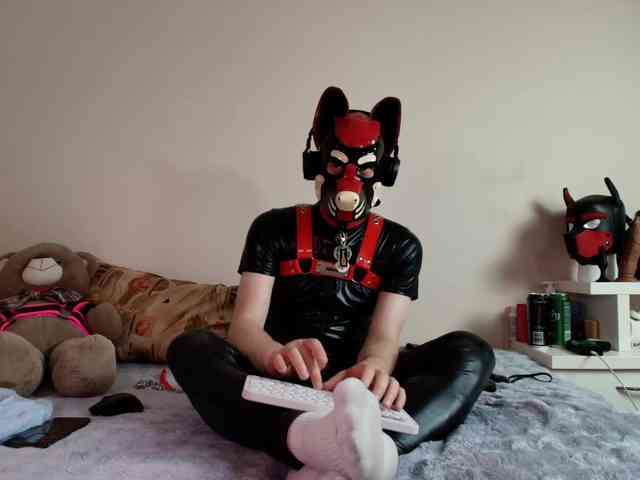 K9GoodBoy