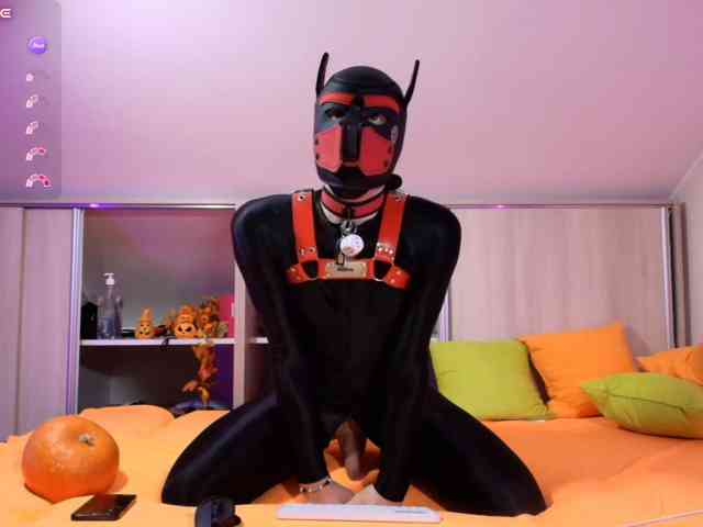 K9GoodBoy