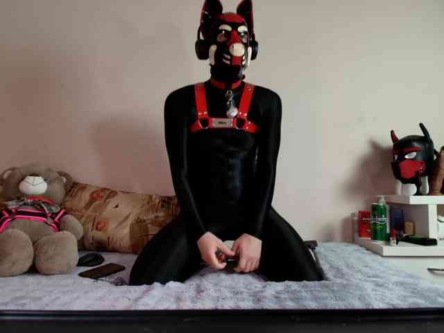 K9GoodBoy