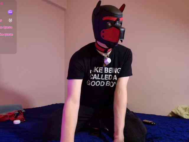 K9GoodBoy