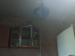 ShellBixAngeLL Porn Show