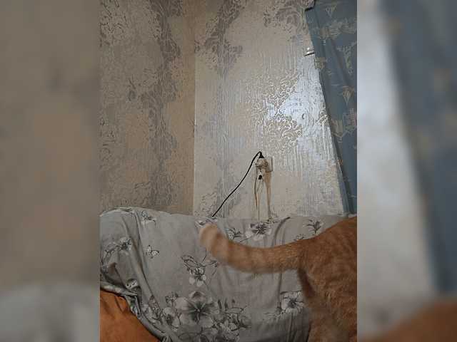 ShellBixAngeLL live cam preview