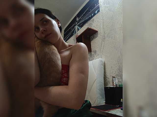 ShellBixAngeLL live cam on BongaCams