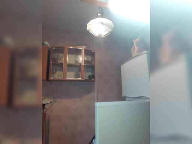 ShellBixAngeLL webcam