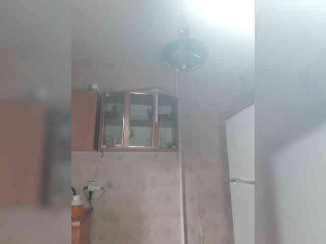 ShellBixAngeLL webcam