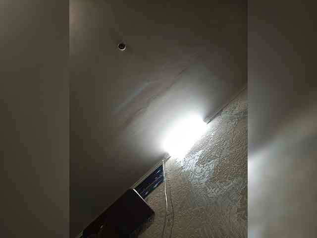 ShellBixAngeLL webcam