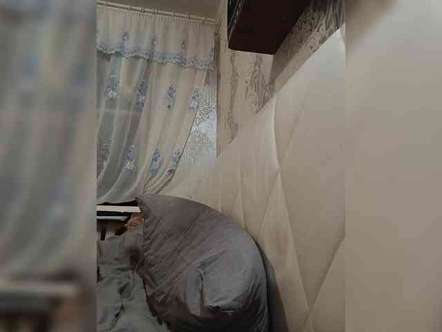 ShellBixAngeLL webcam