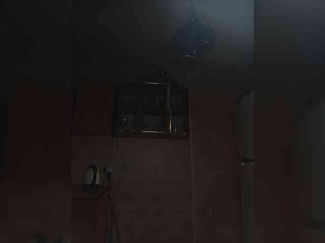 ShellBixAngeLL webcam