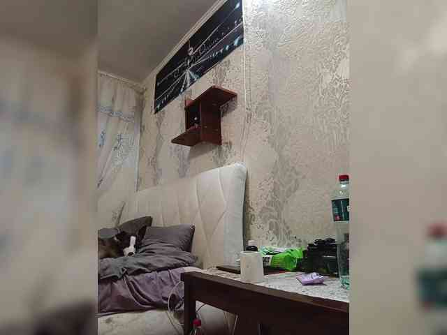 ShellBixAngeLL webcam