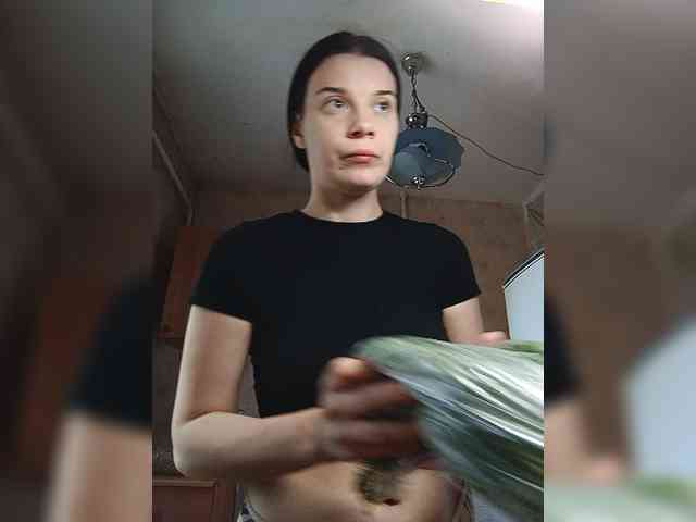 ShellBixAngeLL