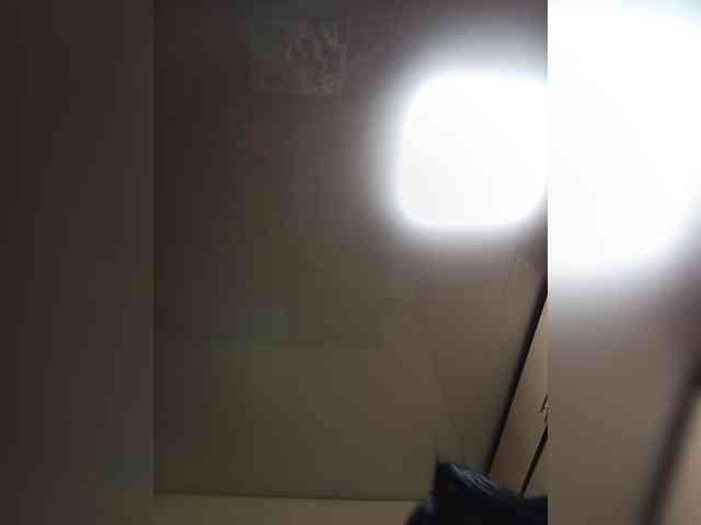 ShellBixAngeLL webcam