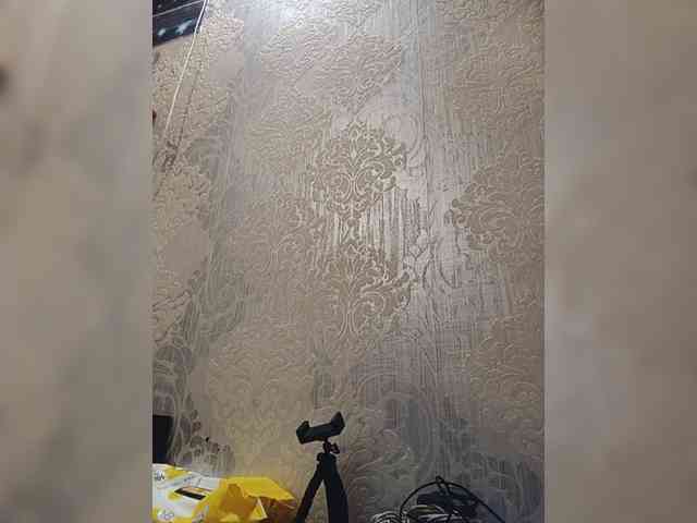 ShellBixAngeLL webcam