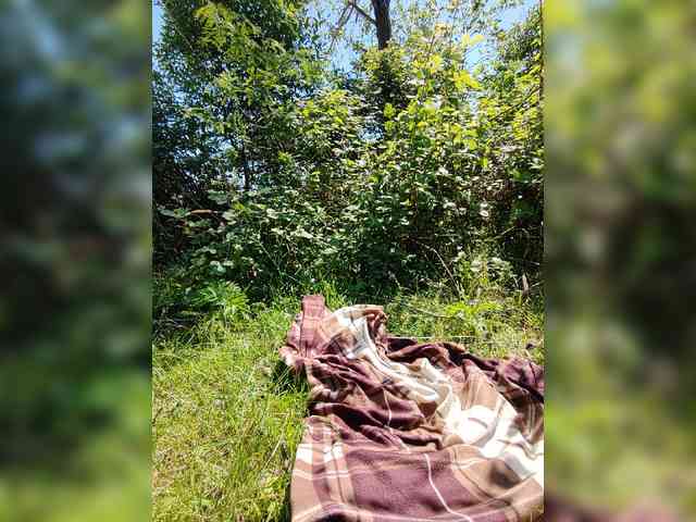 Модель: -EffekT_BePbl-