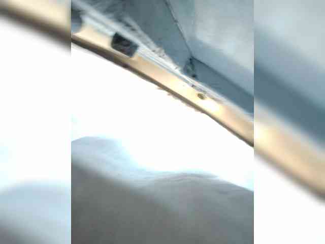 kishacali webcam