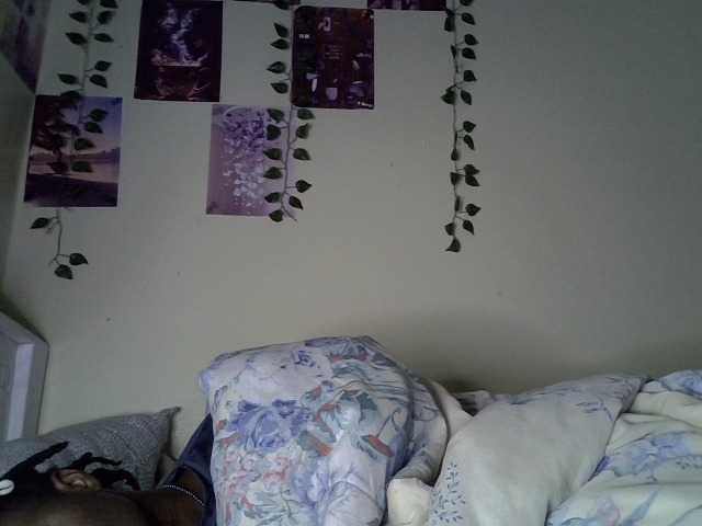 Blackdiva-11's BongaCams show and profile