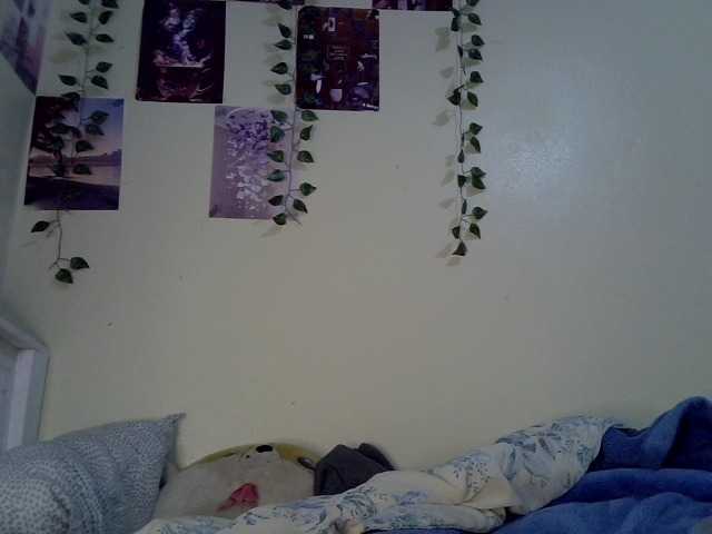 Blackdiva-11's BongaCams show and profile