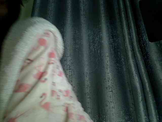 Blackdiva-11 webcam