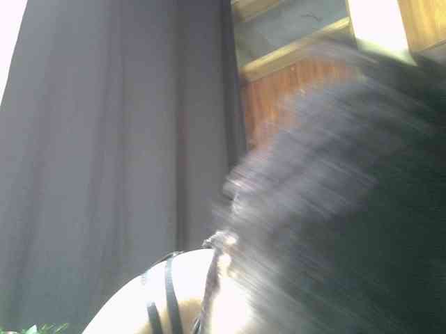 Blackdiva-11 webcam