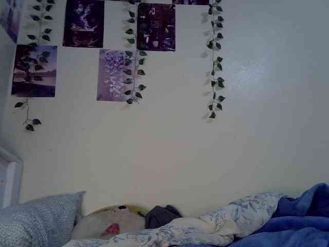 Blackdiva-11 Live Webcam on BongaCams