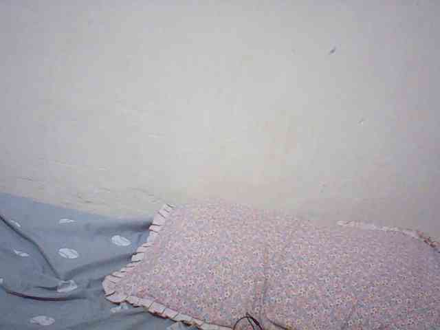 Angellily1