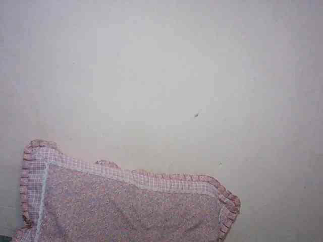 Angellily1 webcam
